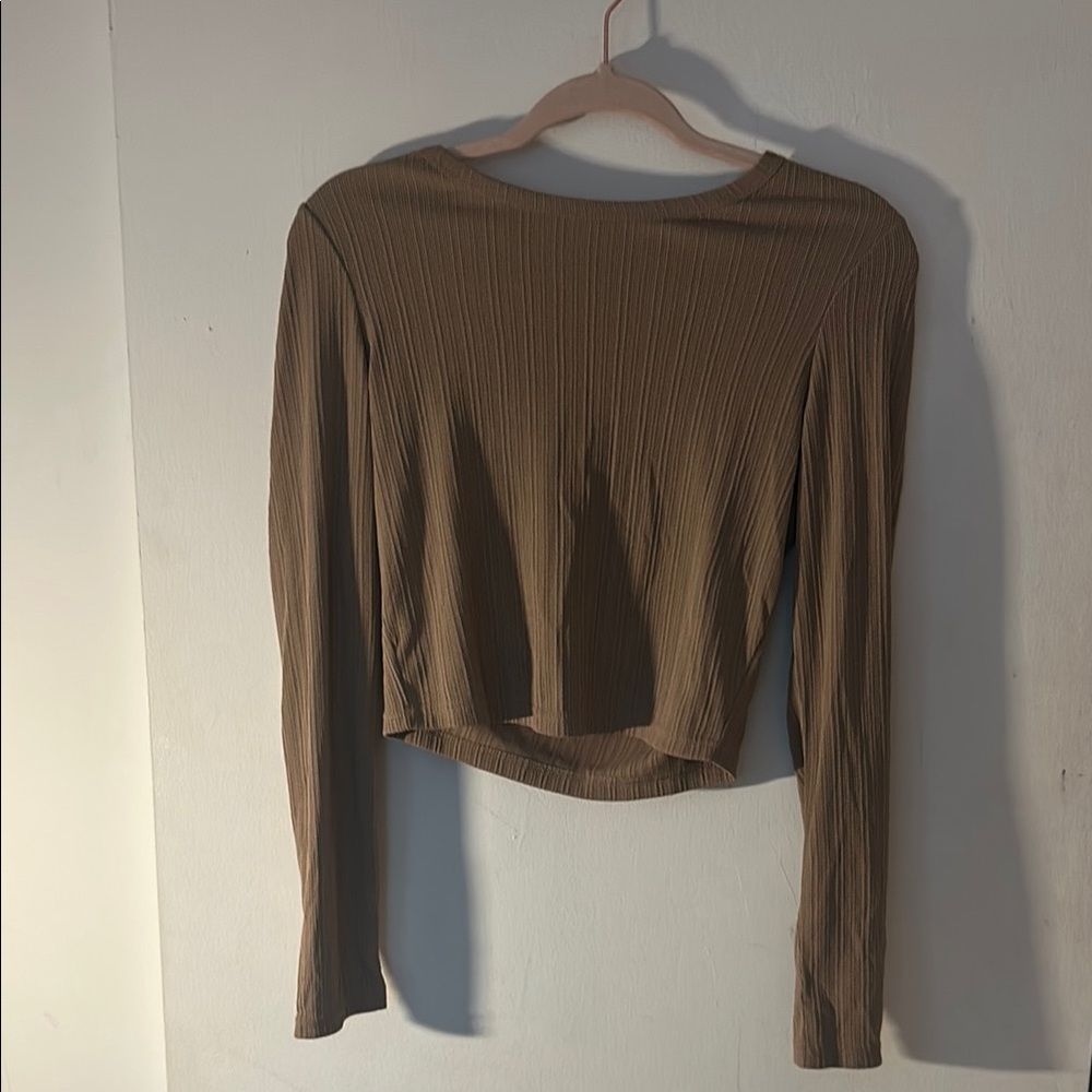 Brown Fitted Crop with Long Sleeves